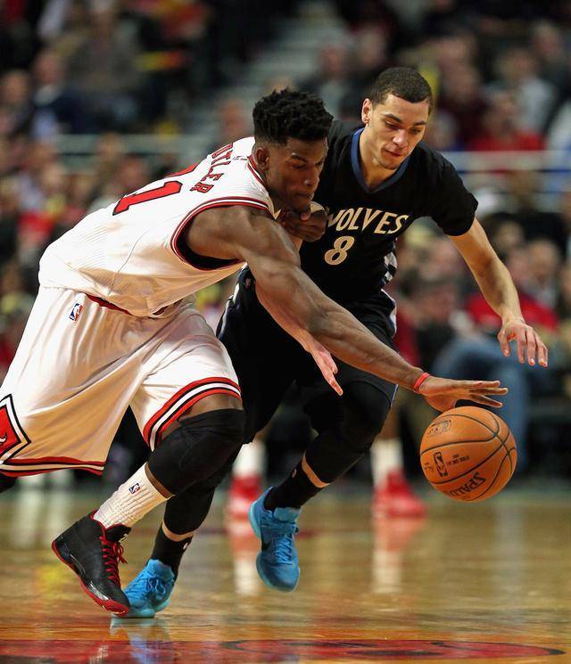 应从法律 应从法律